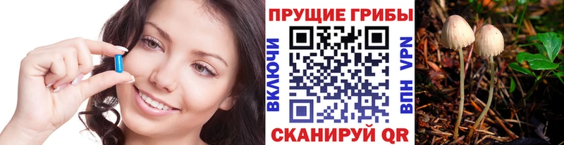 Псилоцибиновые грибы Psilocybine cubensis  Батайск 