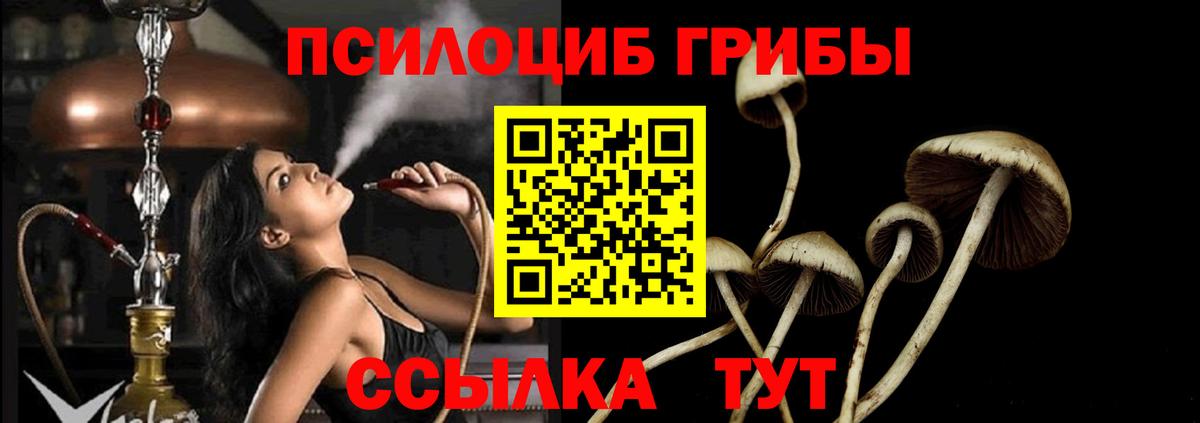 Батайск  Галлюциногенные грибы Psilocybe  Вход с VPN 